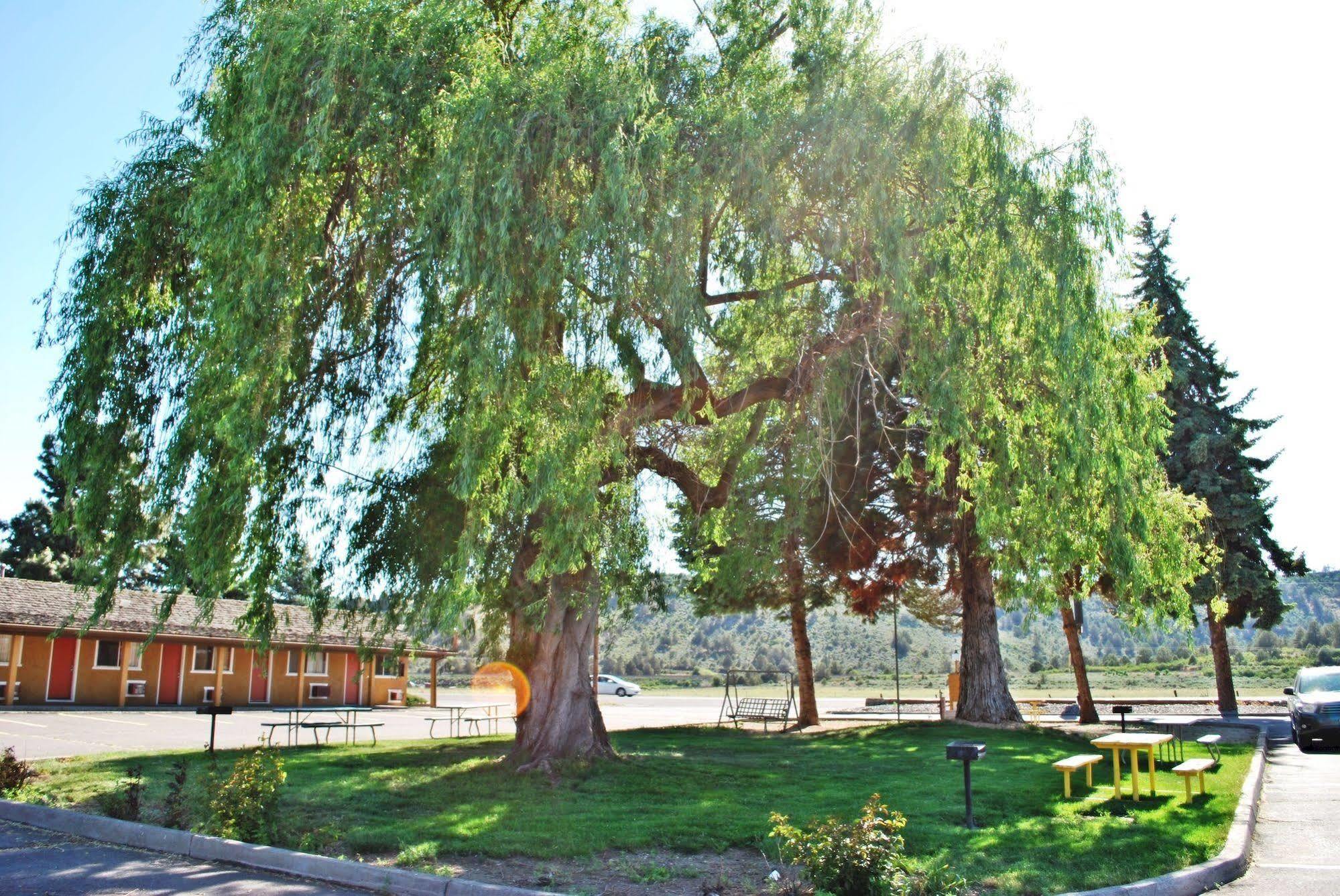 Oregon Motel 8 And Rv Park Klamath Falls Exterior photo